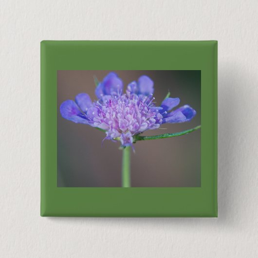 Paarse wilde bloem vierkante button 5,1 cm (Voorkant)