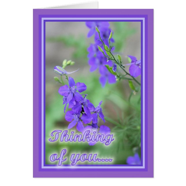 Paarse wilde bloemen (Voorkant)