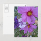 paarse wilde bloemen briefkaart (Voorkant / Achterkant)