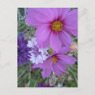 paarse wilde bloemen briefkaart