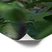 Paarse wilde bloemen Foto Poster (Hoek)