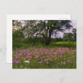 Paarse wilde bloemen in de schemering op het platt feestdagenkaart (Voorkant / Achterkant)