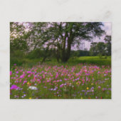 Paarse wilde bloemen in de schemering op het platt feestdagenkaart (Voorkant)