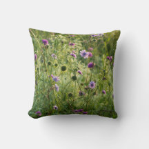 Paarse wilde bloemen in een groene weide