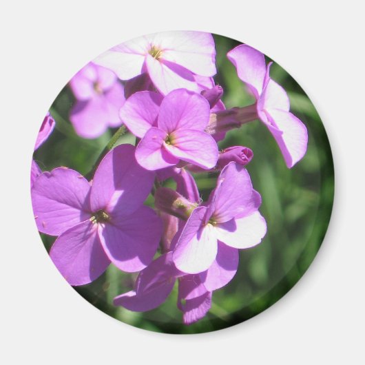 Paarse wilde bloemen magneet (Voorkant)