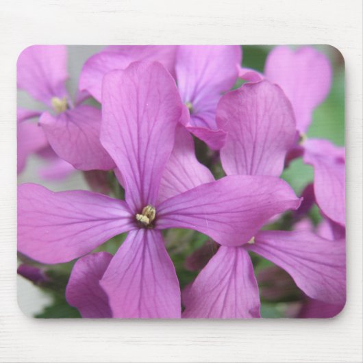 Paarse wilde bloemen Mousepad Muismat (Voorkant)