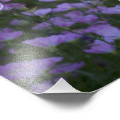 paarse wilde bloemen overal foto afdruk (Hoek)