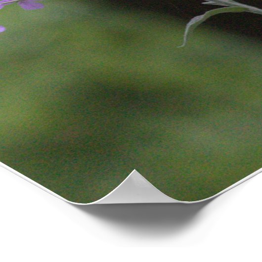 Paarse wilde bloemen poster (Hoek)