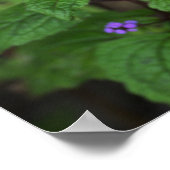Paarse Wilde Bloemen Poster (Hoek)