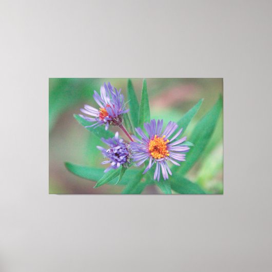 Paarse Wildflower Canvas Art Afdruk (Voorkant)