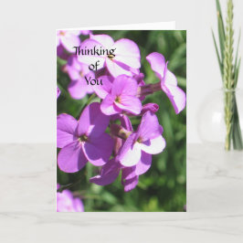 Paarse Wildflower Denken aan jou Kaart