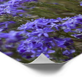 Paarse Wildflower Poster 2 (Hoek)