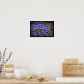 Paarse Wildflower Poster Zwart vignet (Keuken)