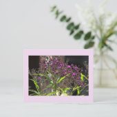 Paarse Wildflowers Foto Briefkaart (Staand voorkant)