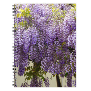 Paarse Wisteria Bloemen Notitieboek