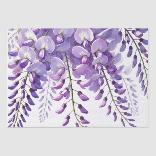 Paarse Wisteria Bloemen Wilde Bloemen Aquarel  Tissuepapier (Voorkant)