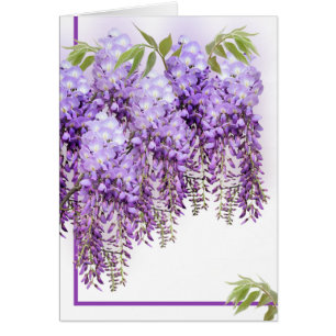 Paarse Wisteria Card