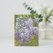 Paarse Wisteria Coordinating Items Briefkaart (Staand voorkant)