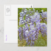 Paarse Wisteria Coordinating Items Briefkaart (Voorkant / Achterkant)