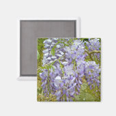 Paarse Wisteria Coordinating Items Magneet (Voorkant / Achterkant)
