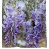 Paarse Wisteria Flower in Spring met Bee Photo Douchegordijn (Voorkant)
