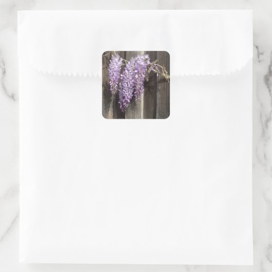 Paarse Wisteria Flower Stickers (Tas)