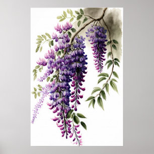 Paarse Wisteria Flowers Art Print Poster