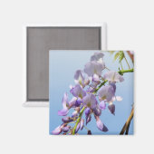 Paarse Wisteria Magneet (Voorkant / Achterkant)