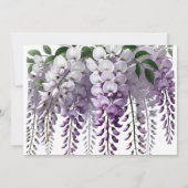 Paarse Wisteria repetitiediner Kaart (Achterkant)