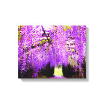 Paarse Wisteria Wall Art