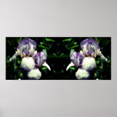 Paarse Witte Bearded Iris Flower Mirror Abstract Poster (Voorkant)