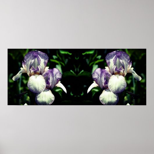 Paarse Witte Bearded Iris Flower Mirror Abstract Poster (Voorkant)
