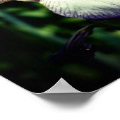 Paarse Witte Bearded Iris Flower Mirror Abstract Poster (Hoek)