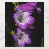 Paarse witte bloemen Wijn Lable Wijn Etiket (Enkel label)