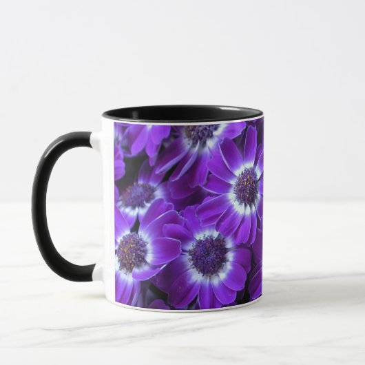 Paarse Witte Cineraria's Mok (Links)