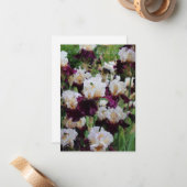 Paarse & witte irisbed notitiekaartje (Voorkant / Achterkant in situ)