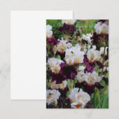 Paarse & witte irisbed notitiekaartje (Voorkant / Achterkant)