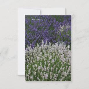Paarse & Witte Lavendel Planten Notitiekaartje