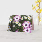 Paarse Witte Madeliefje Bloementuin Bedankkaart Kaart (Gele Bloem)