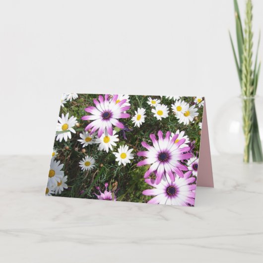 Paarse Witte Madeliefje Bloementuin Bedankkaart Kaart (Voorkant)