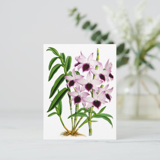  Paarse witte orchidebloem Briefkaart (Staand voorkant)