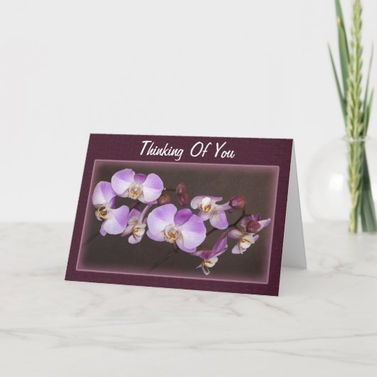 Paarse Witte Orchidee Foto Denk Aan Jou Sjabloon (Voorkant)