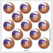 paarse witte set van 13 kinder basketbalteamcadeau sticker (Vel)