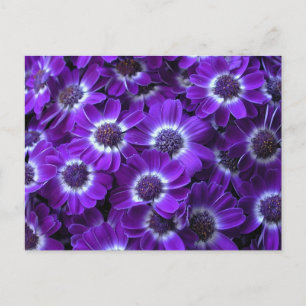 Paarse witte traagheid briefkaart