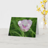 Paarse witte tulp kaart (Gele Bloem)