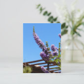 Paarse woestijnbloemen Briefkaart (Staand voorkant)