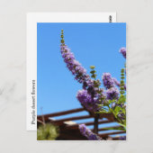 Paarse woestijnbloemen Briefkaart (Voorkant / Achterkant)