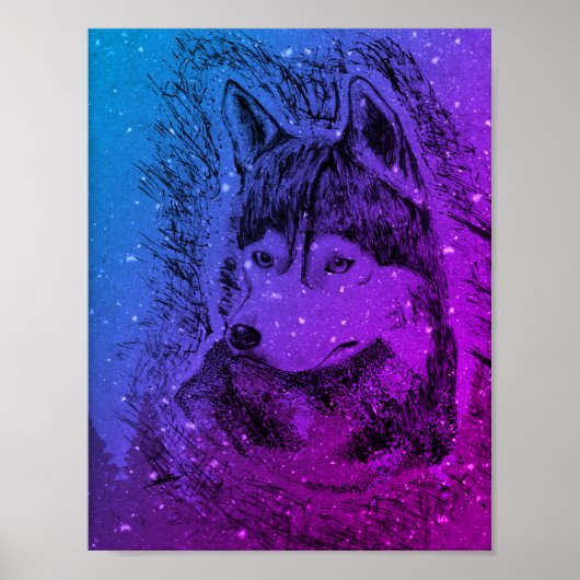 Paarse Wolf Poster (Voorkant)
