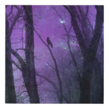 Paarse Woodland Stars