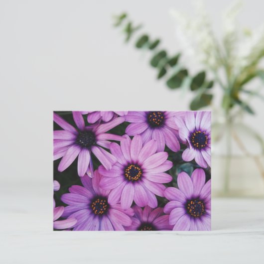 Paarse zeeduivel briefkaart (Staand voorkant)